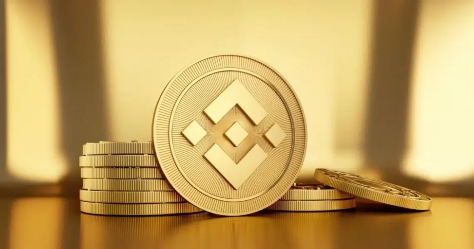 bnb-precio.webp
