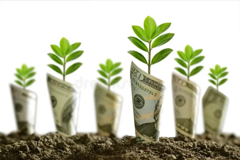 la-imagen-de-billetes-banco-rodó-alrededor-las-plantas-en-el-suelo-para-negocio-ahorro-crecim...webp