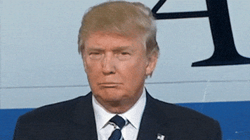 Donald Trump GIF Donald Trump GIF